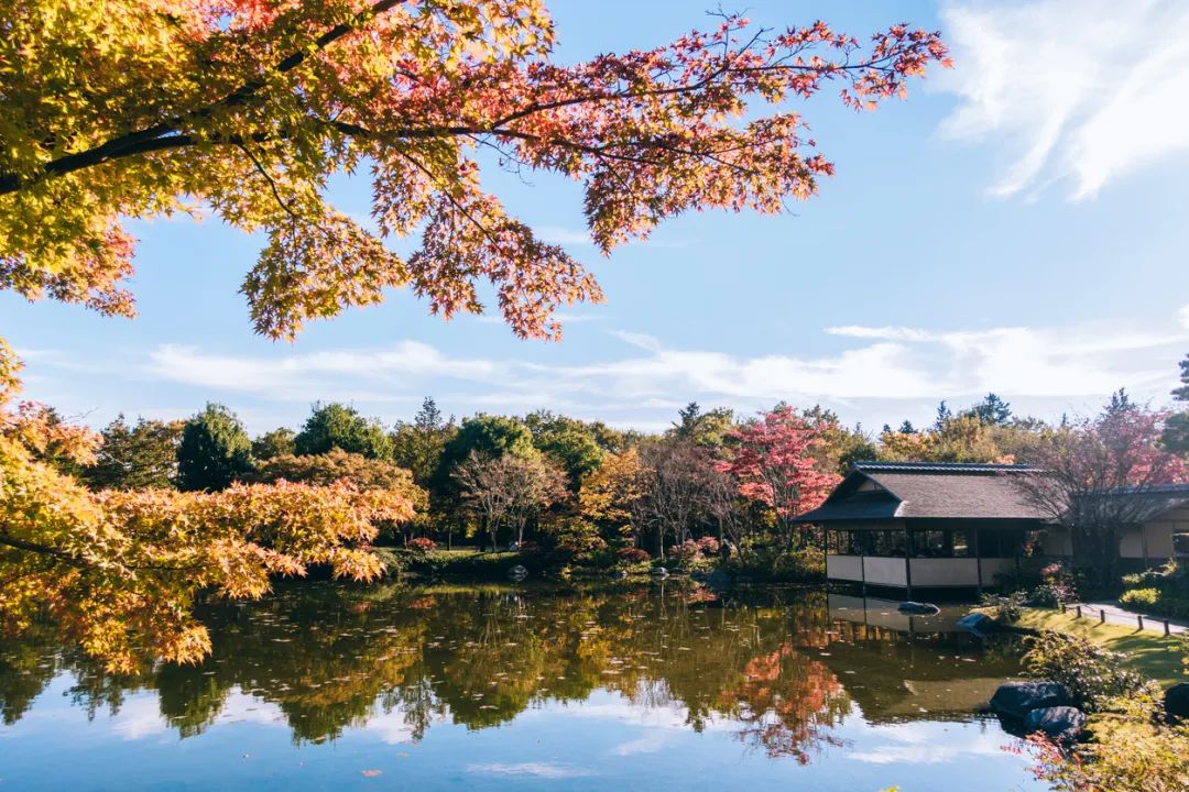 出国留学 留学机构 赴日本留学