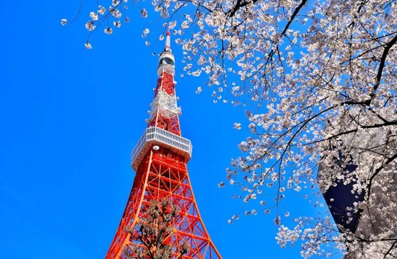 出国留学 留学机构 赴日本留学