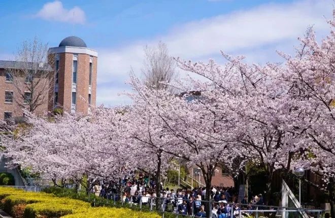 沈阳留学 留学服务 日本留学